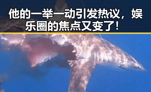 他的一举一动引发热议，娱乐圈的焦点又变了！